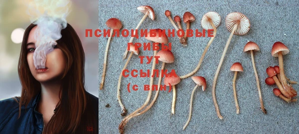 мяу мяу мука Аксай